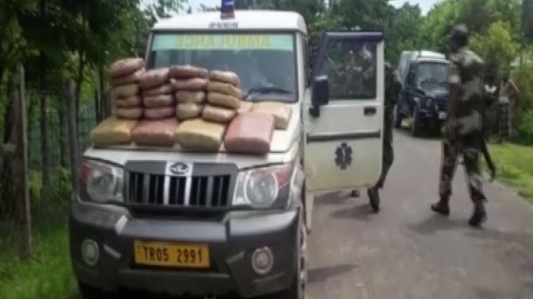 Tripura: Police recover 197 kg marijuana in joint operation with BSF